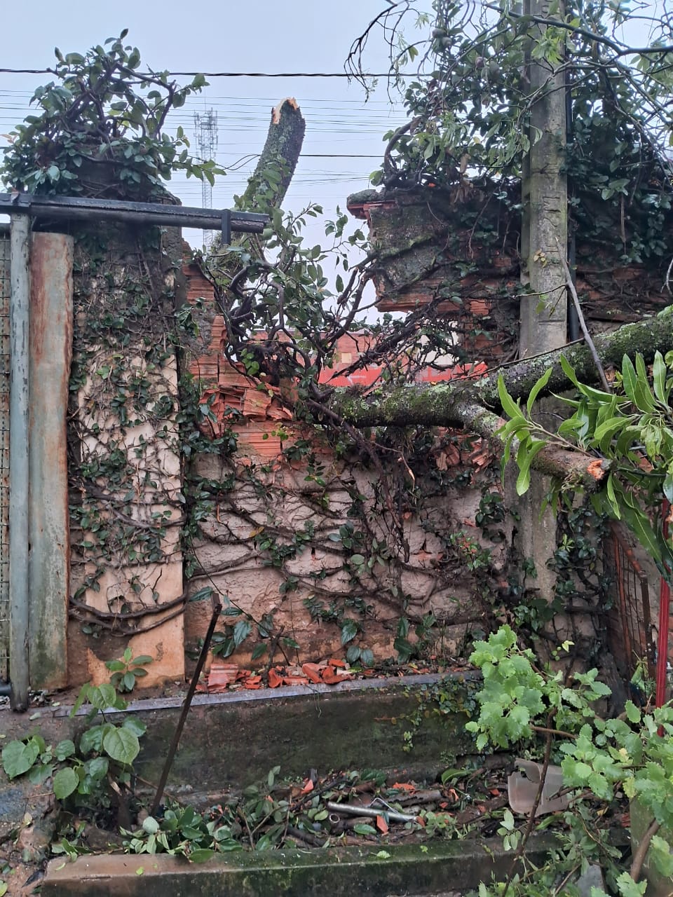 Imagem 2 da denúncia #VS-2026-67567