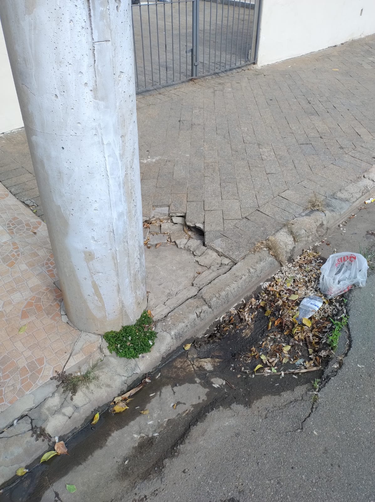 Imagem 1 da denúncia #VS-2026-67682