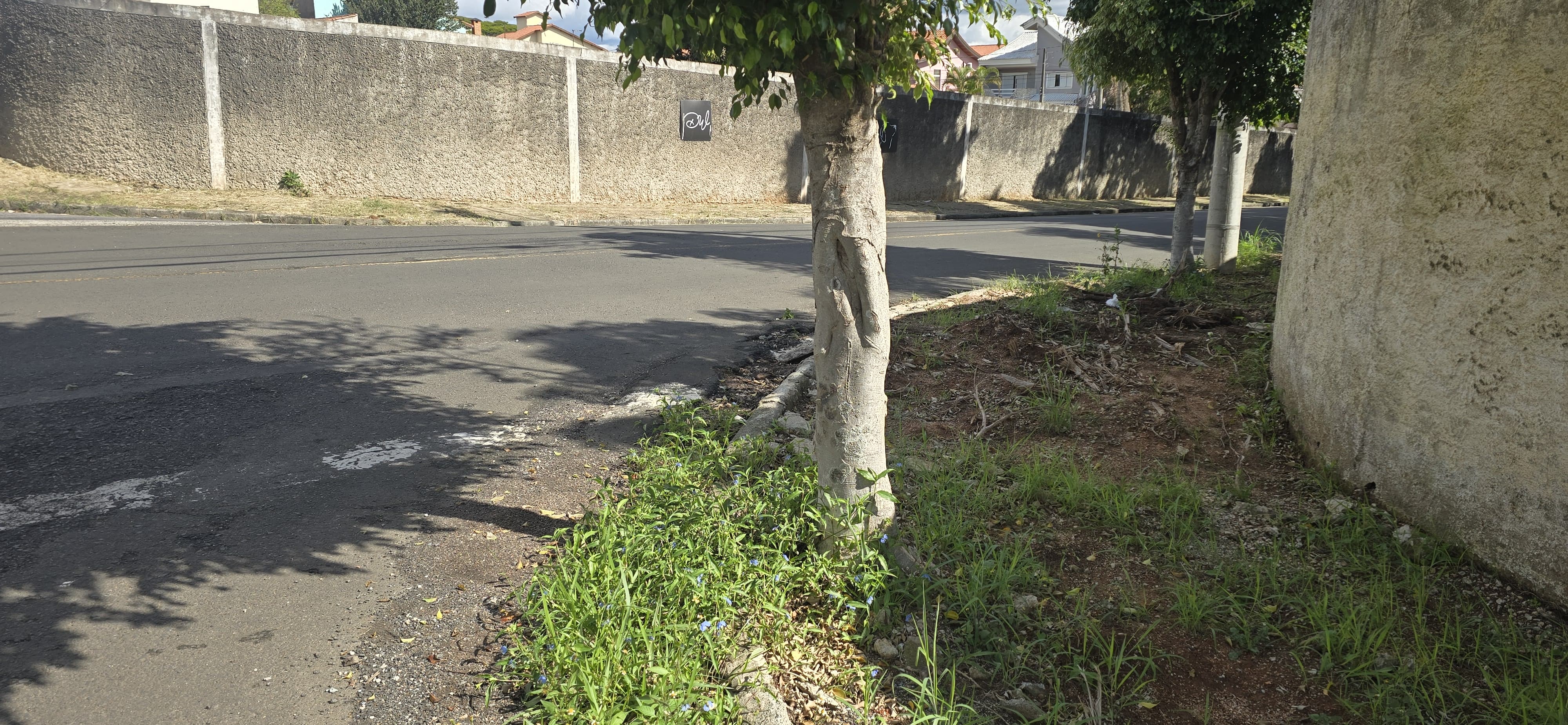 Imagem 1 da denúncia #VS-2026-67833