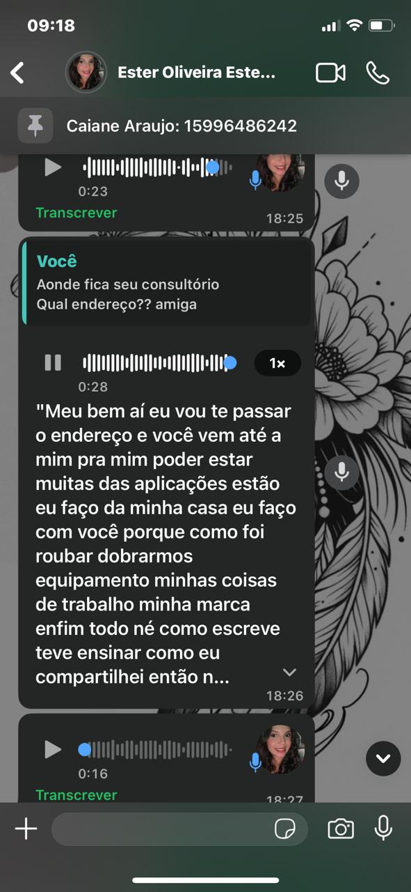 Imagem 1 da denúncia #VS-2026-68586