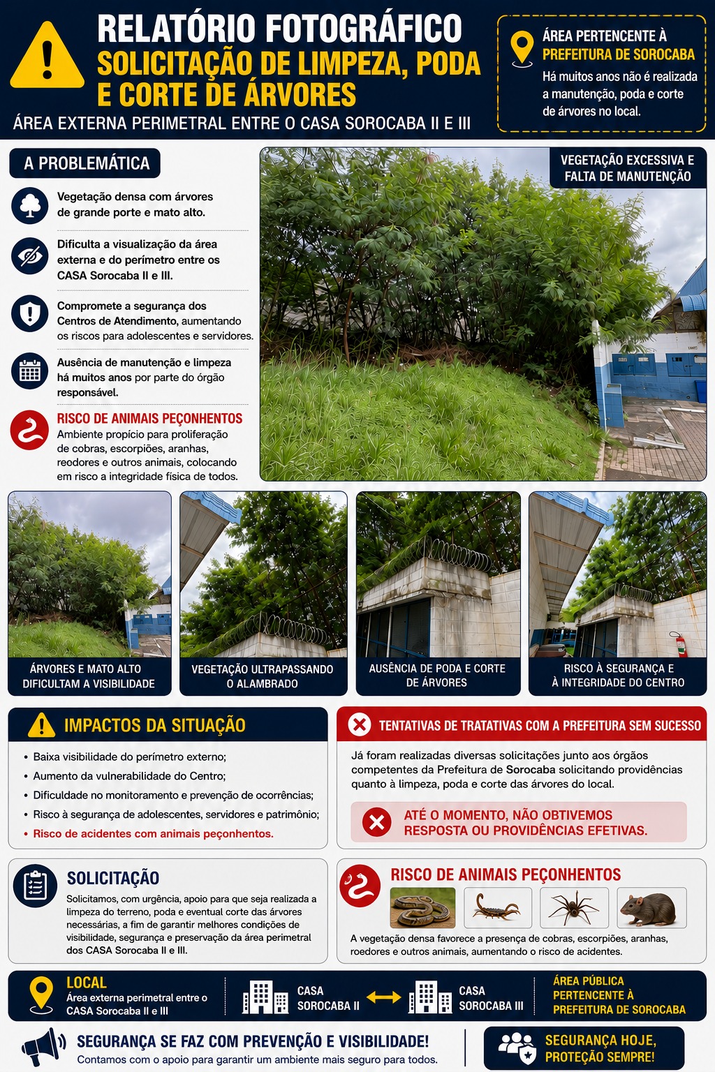 Imagem 1 da denúncia #VS-2026-68606