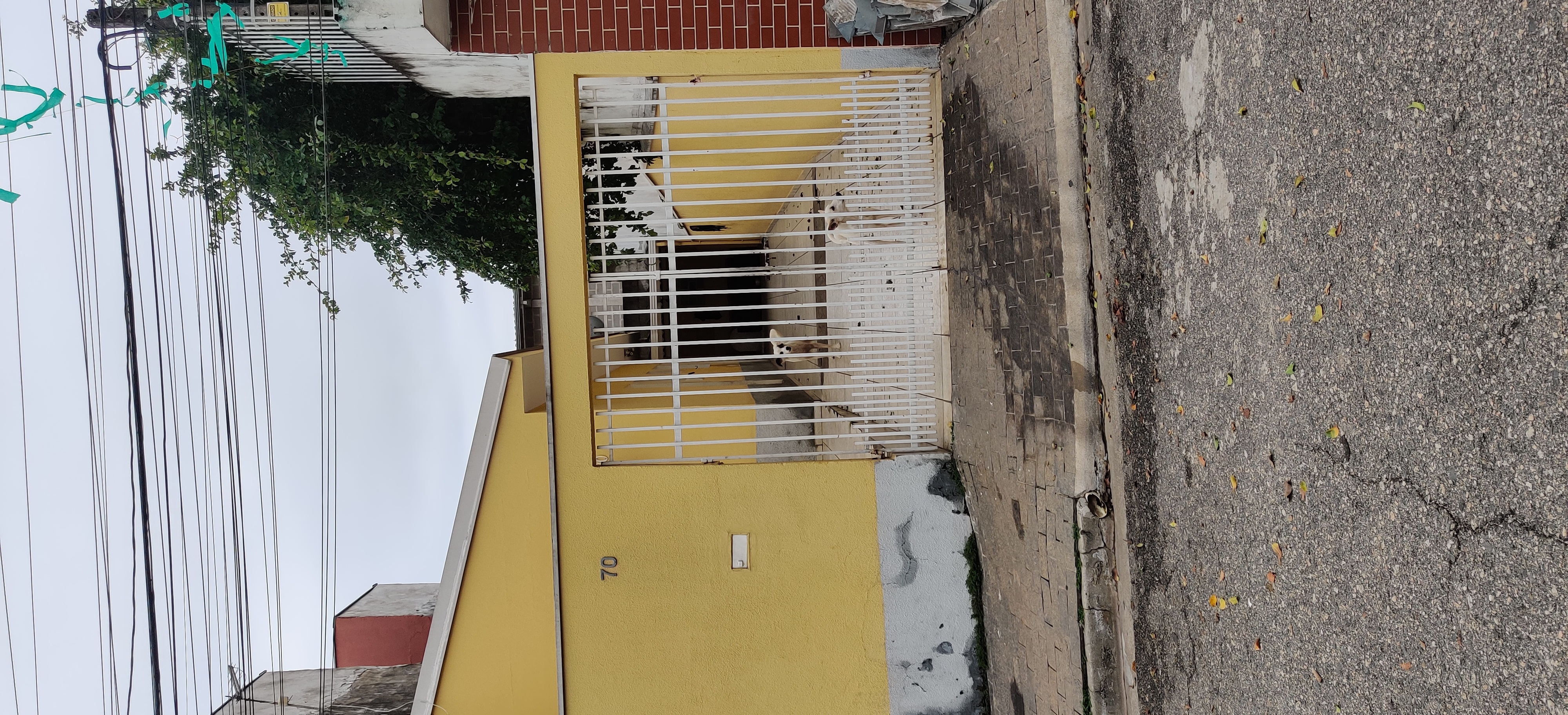 Imagem 1 da denúncia #VS-2026-68891