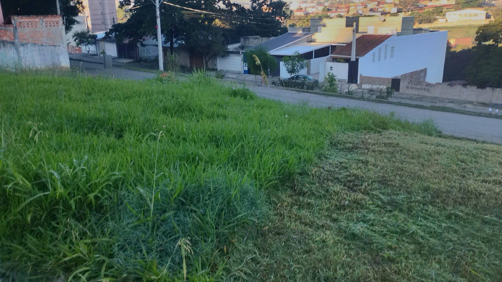 Imagem 1 da denúncia #VS-2026-69403