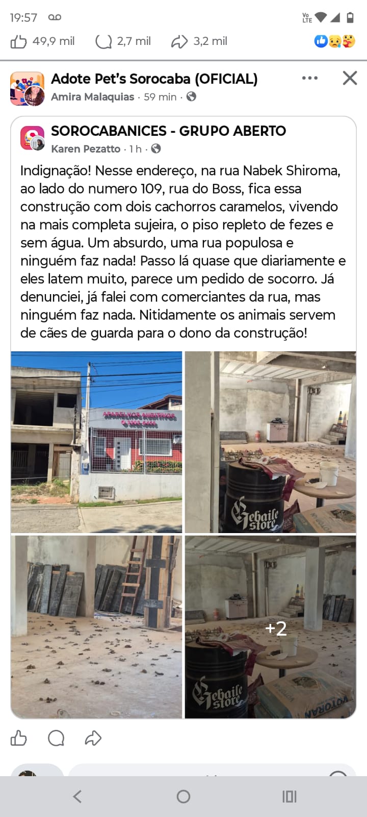 Imagem 1 da denúncia #VS-2026-69422