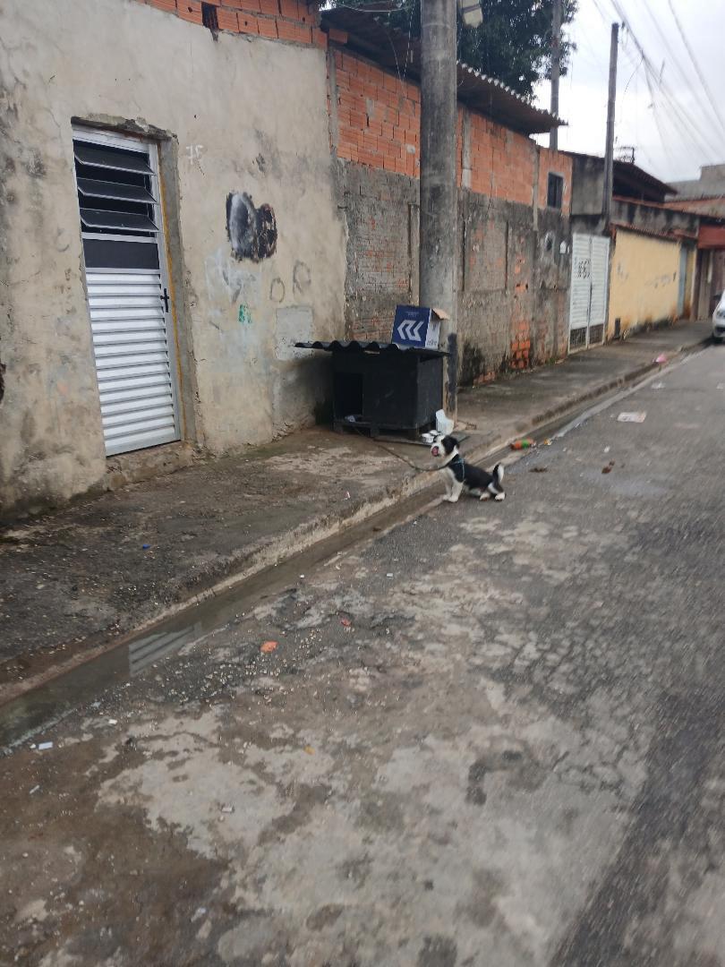 Imagem 1 da denúncia #VS-2026-69510