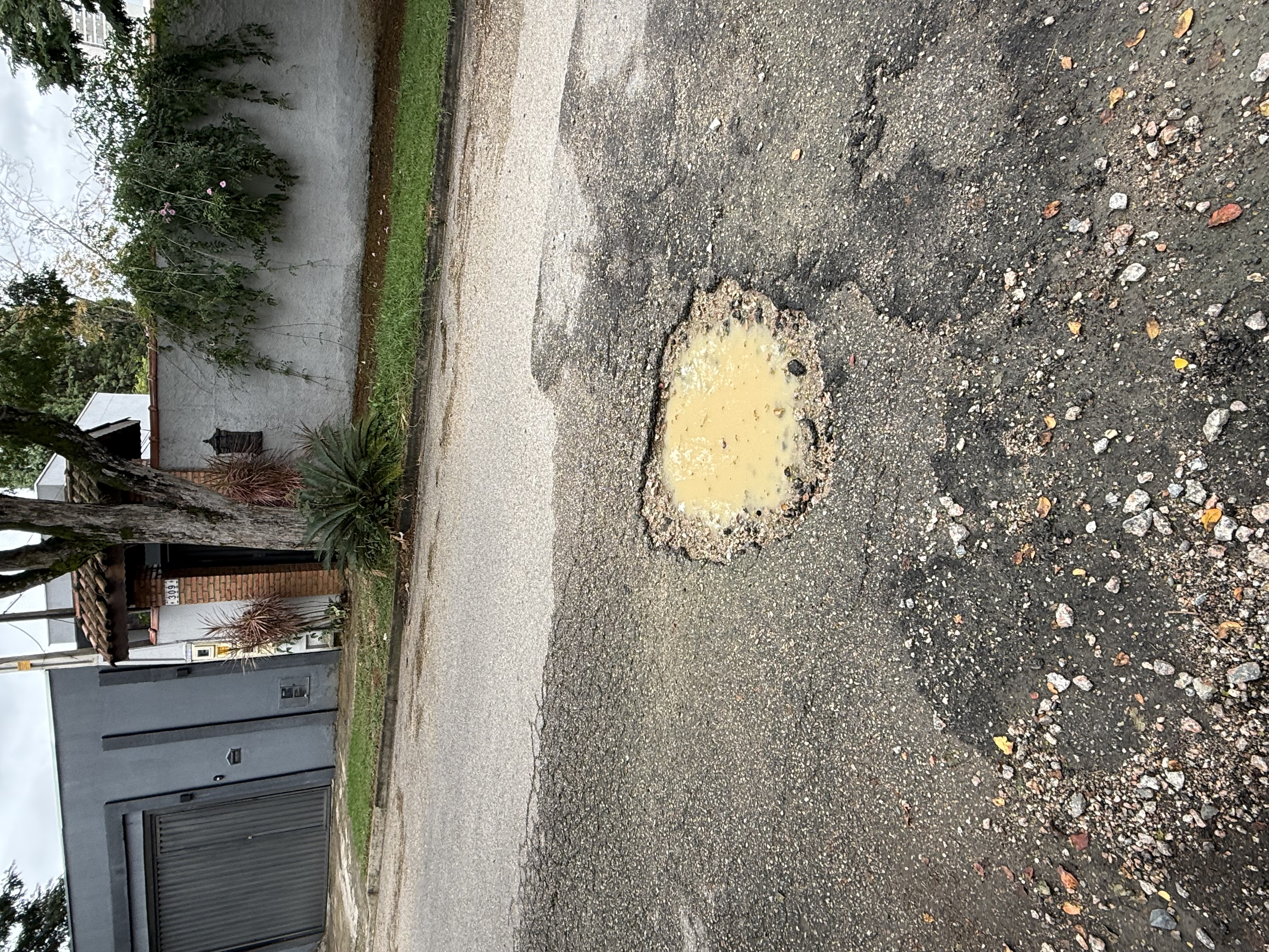 Imagem 1 da denúncia #VS-2026-69776