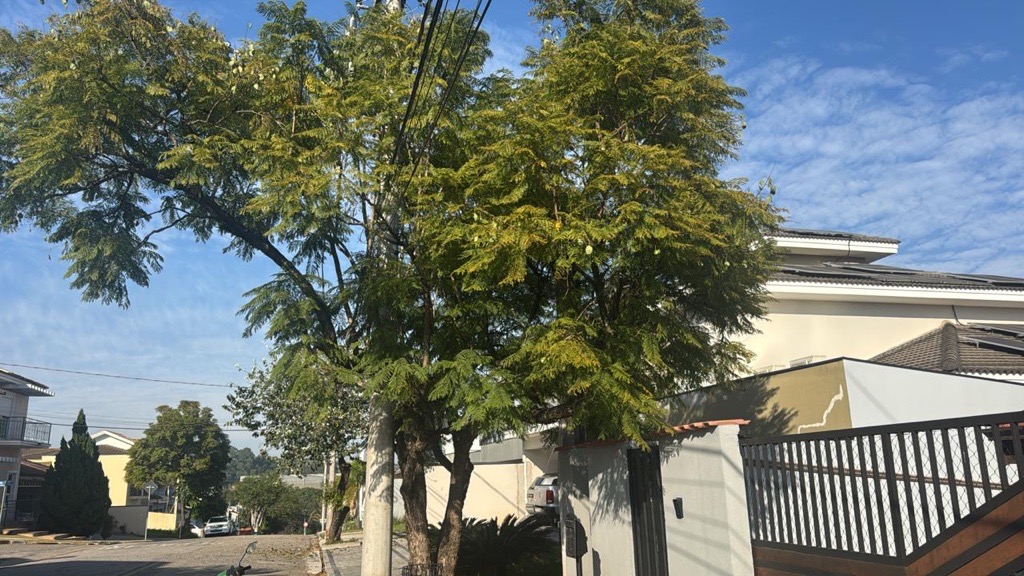 Imagem 1 da denúncia #VS-2026-69889