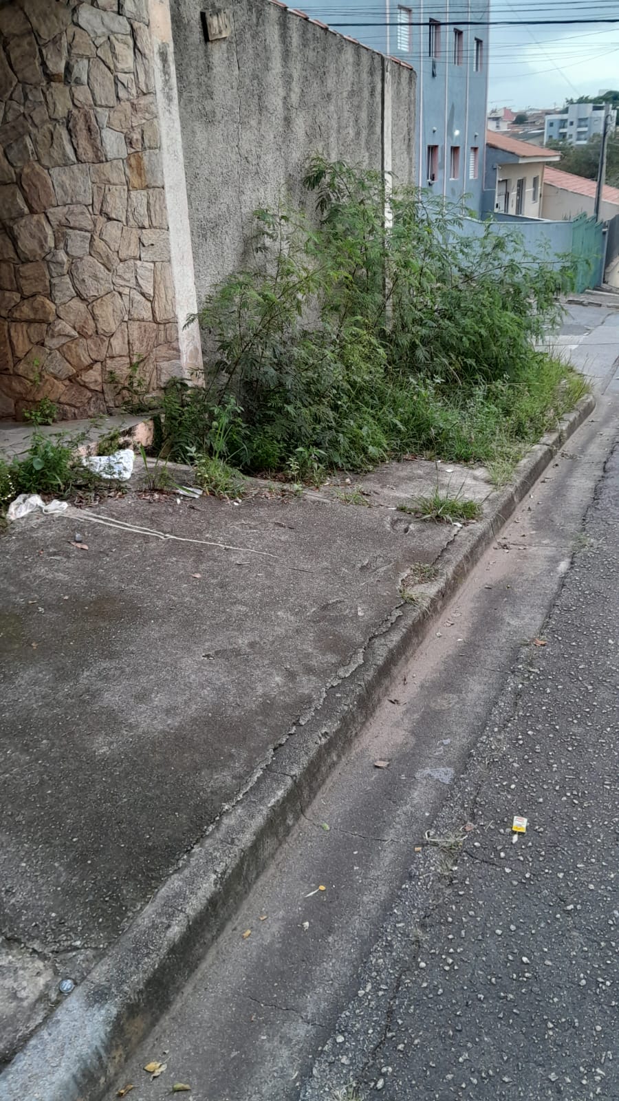 Imagem 1 da denúncia #VS-2026-70292