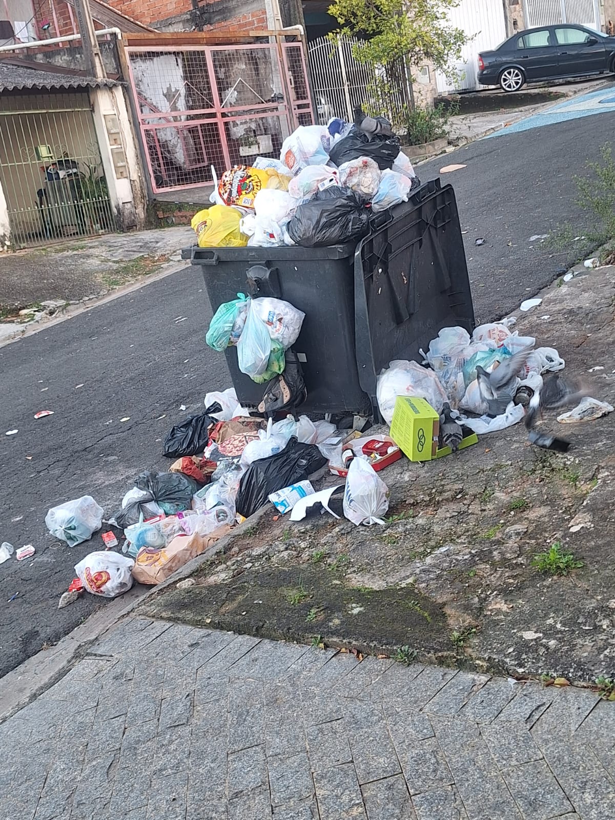 Imagem 2 da denúncia #VS-2026-70777
