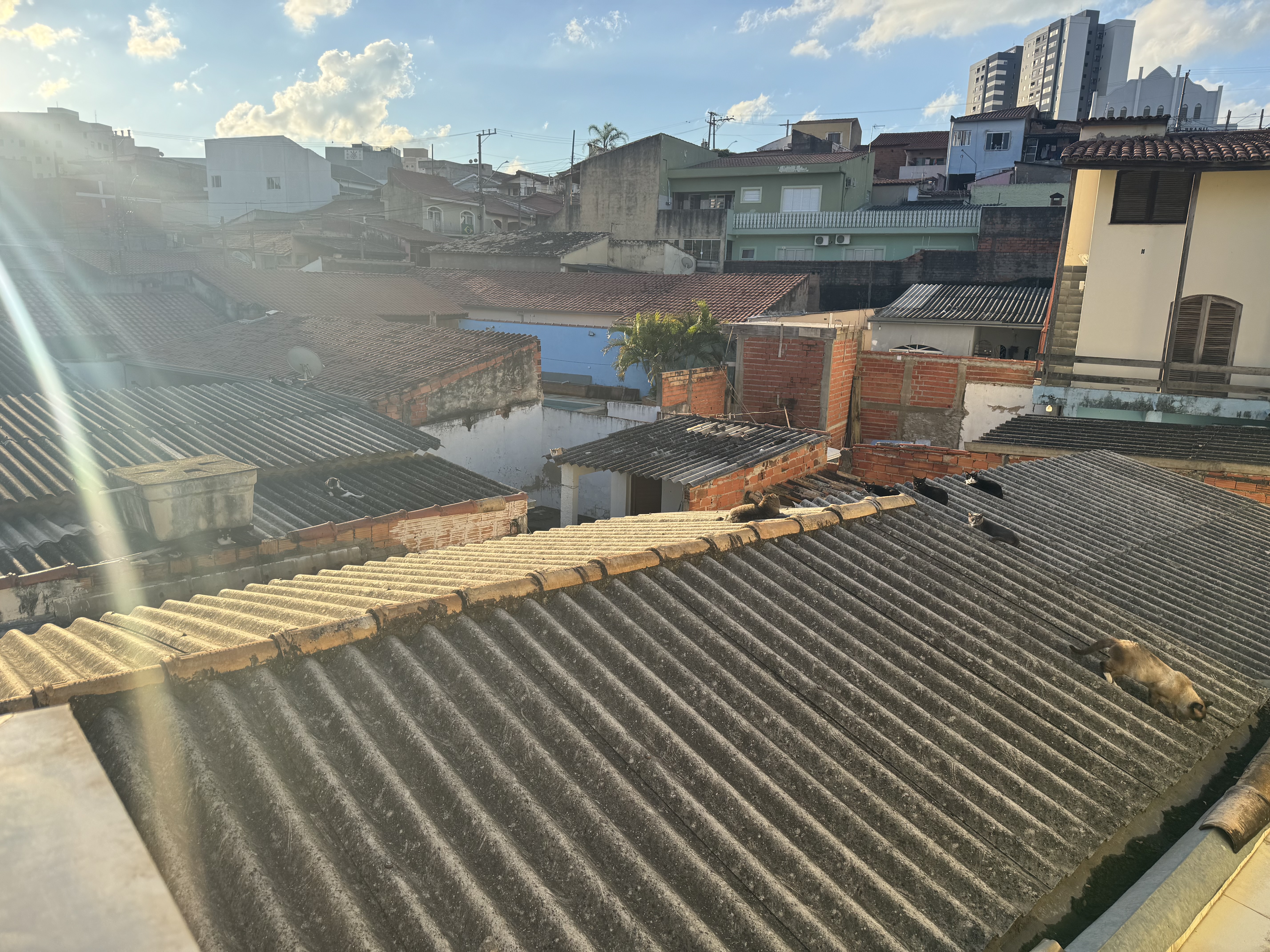 Imagem 1 da denúncia #VS-2026-71123