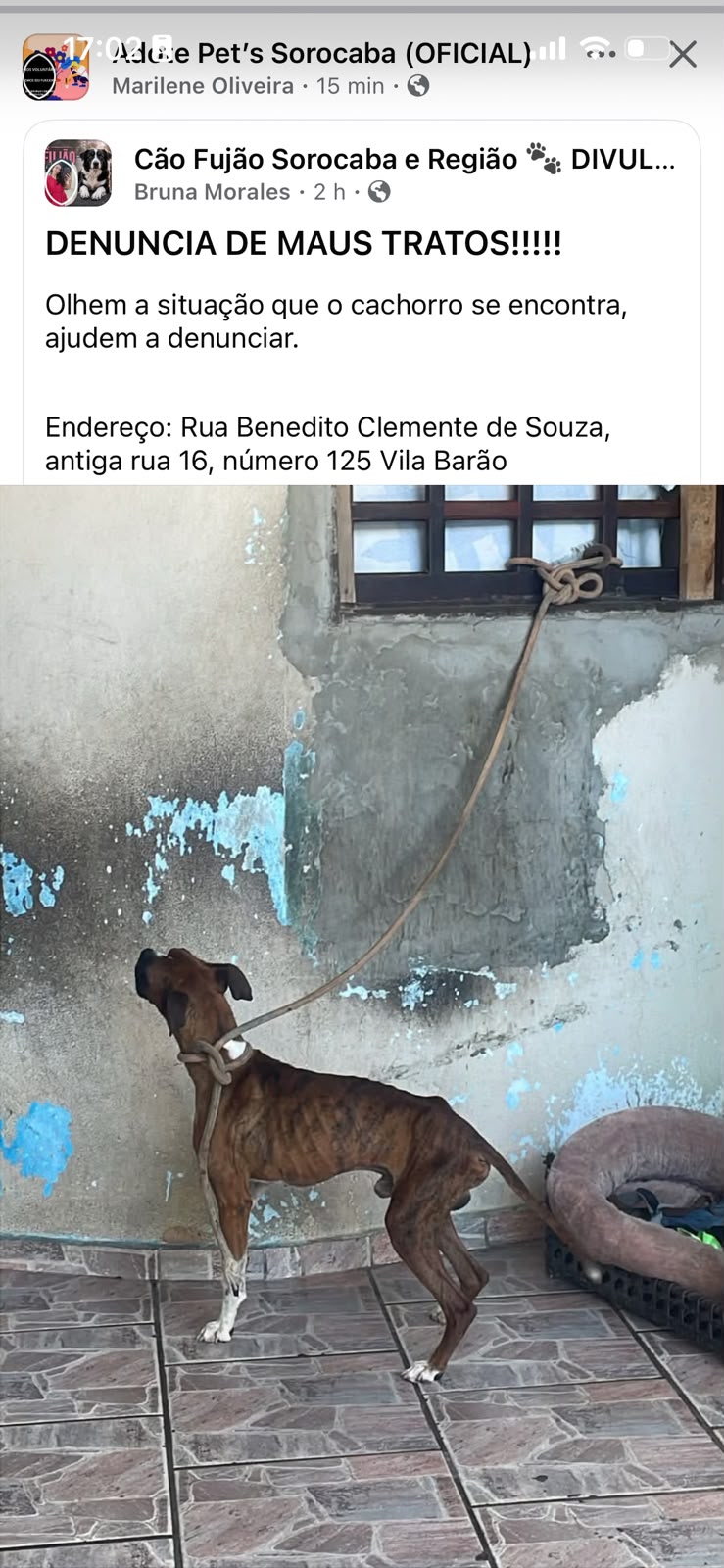 Imagem 1 da denúncia #VS-2026-71978