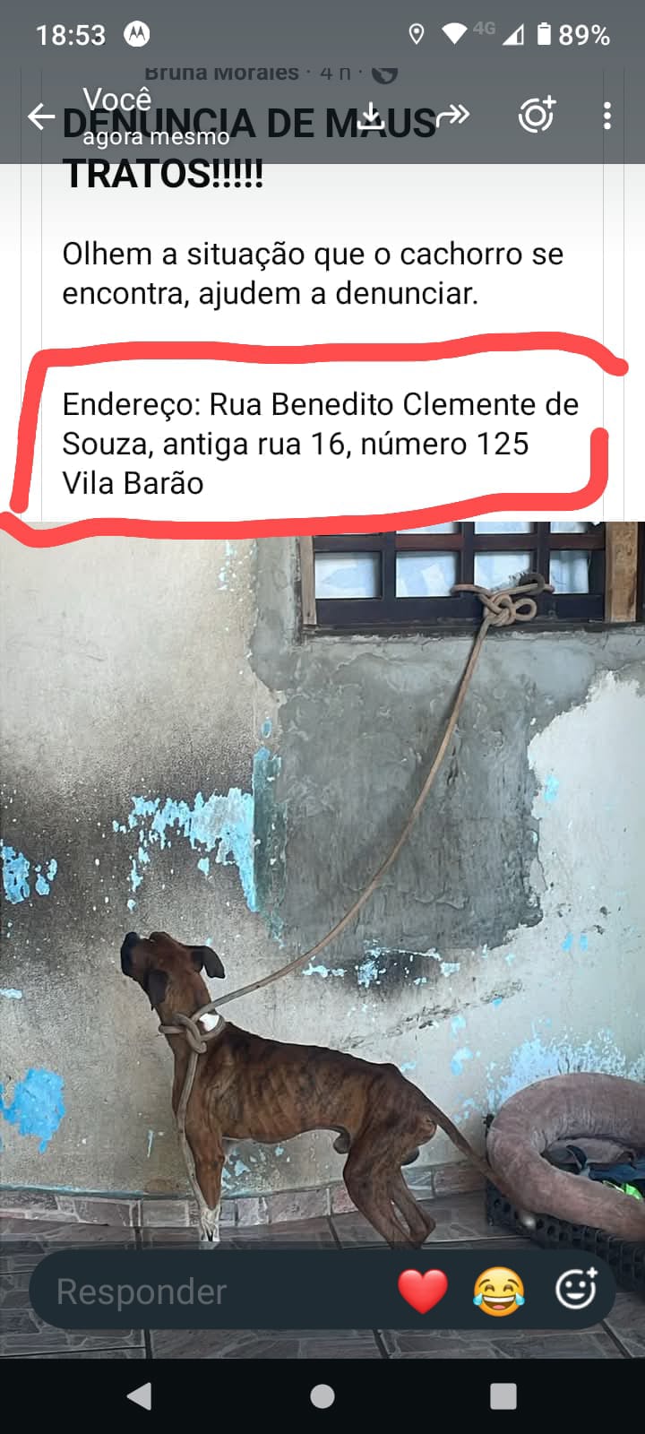 Imagem 1 da denúncia #VS-2026-72016