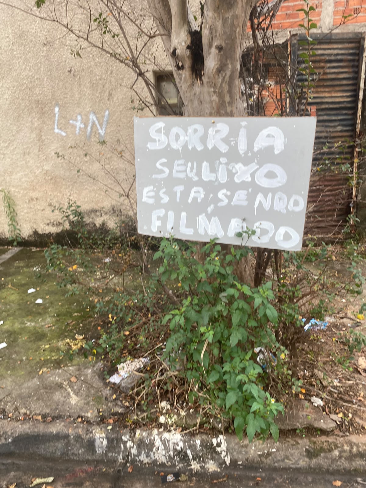 Imagem 1 da denúncia #VS-2026-72188