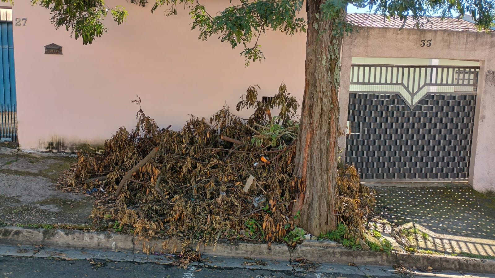 Imagem 1 da denúncia #VS-2026-72330