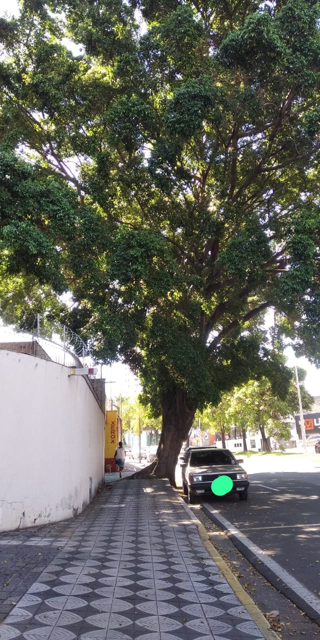 Imagem 1 da denúncia #VS-2026-72438